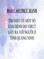 Báo cáo thực hành: tìm hiểu một số loại bệnh do virut gây ra với người ở Quảng Ninh