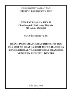 Thành phần loài và đặc điểm sinh học của một số loài cá kinh tế của hai họ cá bống gobiidae và eleotridae phân bố ở vùng ven biển tỉnh bến tre (TT