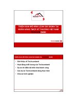 TRIỂN KHAI MÔ HÌNH LEAN SIX SIGMA TẠI NGÂN HÀNG TMCP KỸ THƯƠNG VIỆT NAM TECHCOMBANK