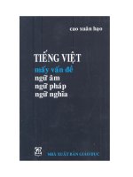 tiếng việt mấy vấn đề ngữ âm, ngữ pháp, ngữ nghĩa   cao xuân hạo