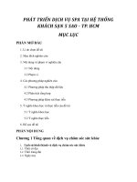 PHÁT TRIỂN DỊCH VỤ SPA TẠI HỆ THỐNG KHÁCH SẠN 5 SAO  TP. HCM (bản tóm tắt)