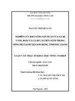 Nghiên cứu khả năng sản xuất của gà ri vàng rơm và ri cải tiến nuôi trong nông hộ tại huyện sơn động, tỉnh bắc giang 
