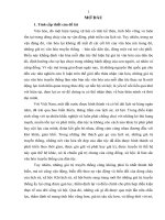 luận văn thạc sĩ Bảo tồn và phát huy giá trị văn hóa truyền thống trong bối cảnh hội nhập quốc tế qua thực tế ở tỉnh kiên giang hiện nay