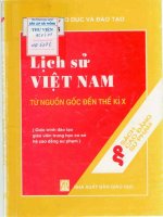 lịch sử việt nam từ nguồn gốc đến thể kỷ X