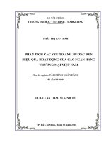 phân tích các yếu tố ảnh hưởng đến hiệu quả hoạt động của các ngân hàng thương mại việt nam