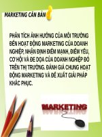 Phân tích ảnh hưởng của môi trường đến hoạt động marketing của doanh nghiệp, nhận định điểm mạnh, điểm yếu, cơ hội và đe dọa của doanh nghiệp đó trên thị trường  đánh giá chung hoạt độn