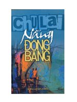 tiểu thuyết nắng đồng bằng của nhà văn  chu lai