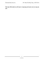 Tiểu luận: Điều chỉnh trao đổi nước và ứng dụng tưới nước cho cây trong sản xuất