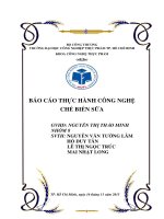 Báo cáo thực hành công nghệ chế biến sữa