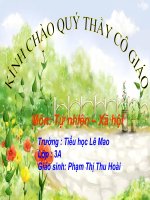 bài giảng tự nhiên xã hội lớp 3 BTNB Bài 55  thú