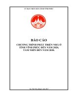 CHƯƠNG TRÌNH PHÁT TRIỂN NHÀ Ở TỈNH VĨNH PHÚC ĐẾN NĂM 2020, TẦM NHÌN ĐẾN NĂM 2030.