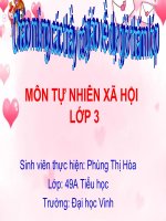 bài giảng tnxh lớp 3 bài bề mặt trái đất