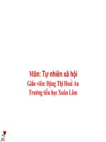 bài giảng môn tự nhiên xã hội 3 bài quả