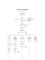 THUYẾT MINH LƯU ĐỒ SẢN XUẤT