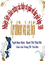 bài giảng tnxh lớp 3 bài bề mặt lục địa