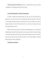 Tiểu luận nguyên lý marketing trình bày về sự thành công trong việc tái định vị thương hiệu của thương hiệu jetstar pacific airline