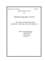 THỰC TRẠNG NGỘ ĐỘC THỰC PHẨM VÀ BỆNH LÂY TRUYỀN QUA THỰC PHẨM HIỆN NAY