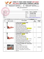 Báo giá xe nâng tay loại 3 tấn  Công ty Việt Nhật 0916027988