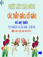 giáo án tự nhiên xã hội lớp 3 bài quả