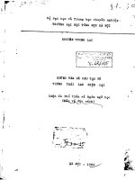 Những vấn đề cấu tạo từ tiếng thái lan hiện đại  luận án PTS  ngôn ngữ học 