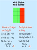 bài giảng toán lớp 3 nhân một số