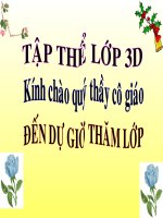 bài giảng tập làm văn tuần tuần 23 kể về một buổi biểu diễn nghệ thuật