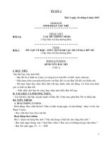 giáo án chuẩn lớp 3 theo phương pháp trường học mới vnen tuần 1 đến tuần 6