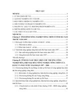 Đề tài Công nghiệp hóa, hiện đại hóa nông nghiệp, nông thôn tỉnh Hà Nam giai đoạn 1997 -  2010