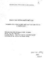 Nghiên cứu công nghệ chế tạo vật liệu xử lý ô nhiễm dầu