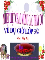 bài giảng tập đọc  lớp 3  ông ngoại