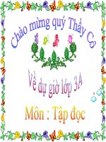 bài giảng tập đọc lớp 3 về quê ngoại