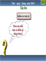 bài giảng tập đọc  lớp 3 tuần 2 cô giáo tí hon