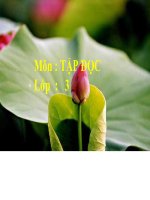 bài giảng tập lớp 3 báo cáo kết quả thi đua noi gương chú bộ đội