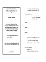 Chất lượng thẩm định tài chính dự án đầu tư trong hoạt động cho vay tại các ngân hàng thương mại việt nam (lấy thực tế từ ngân hàng TMCP công thương việt nam) tt