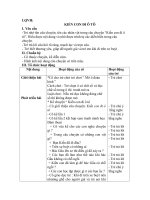 Kể truyện kiến con đi ô tô trong nhà trường