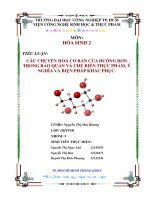 CÁC CHUYỂN hóa cơ bản của ĐƯỜNG đơn