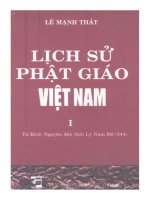lịch sử phật giáo việt nam tập 1