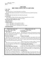 chất lỏng hiện tượng căng bề mặt chất lỏng