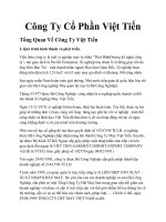 Phân tích môi trường cạnh tranh của công ty may Việt Tiến