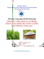 Tìm hiểu công đoạn lau bóng, phân loại, kiểm tra chất lượng gạo trong CNSX gạo
