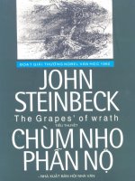 tiểu thuyết trùm nho phẫn nộ của john steinbeck