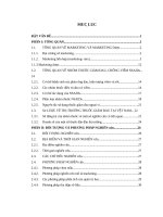 Phân tích sự vận dụng các chiến lược trong hoạt động marketing nhóm thuốc giảm đau non steroid của một số công ty dược phẩm tại hà nội năm 2008   2010