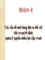 Thuyết trình môn ra quyết định quản lý nguồn nhân lực cấp vi mô 