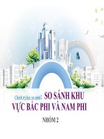 SO SÁNH CHÍNH TRỊ KHU VỰC  BẮC PHI VÀ NAM PHI