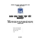 Hạch toán tiêu thụ và xác định kết quả kinh doanh tại công ty TNHH thương mại  dịch vụ trang anh 