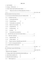 Phân tích sự vận dụng các chiến lược trong hoạt động marketing nhóm thuốc giảm đau non steroid của một số công ty dược phẩm tại hà nội năm 2008   2010 