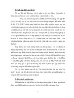 Tình hình tội buôn lậu trên địa bàn tỉnh Tây Ninh