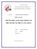 chuyển hóa acid amin