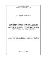 Nghiên cứu ảnh hưởng của mật độ, phân bón đến khả năng sinh trưởng và năng suất của cây Cẩm nhuộm màu thực phẩm tại Thái Nguyên