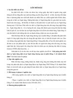 Giải pháp phát triển dịch vụ ngân hàng điện tử tại ngân hàng thương mại cổ phần đông á chi nhánh bình định